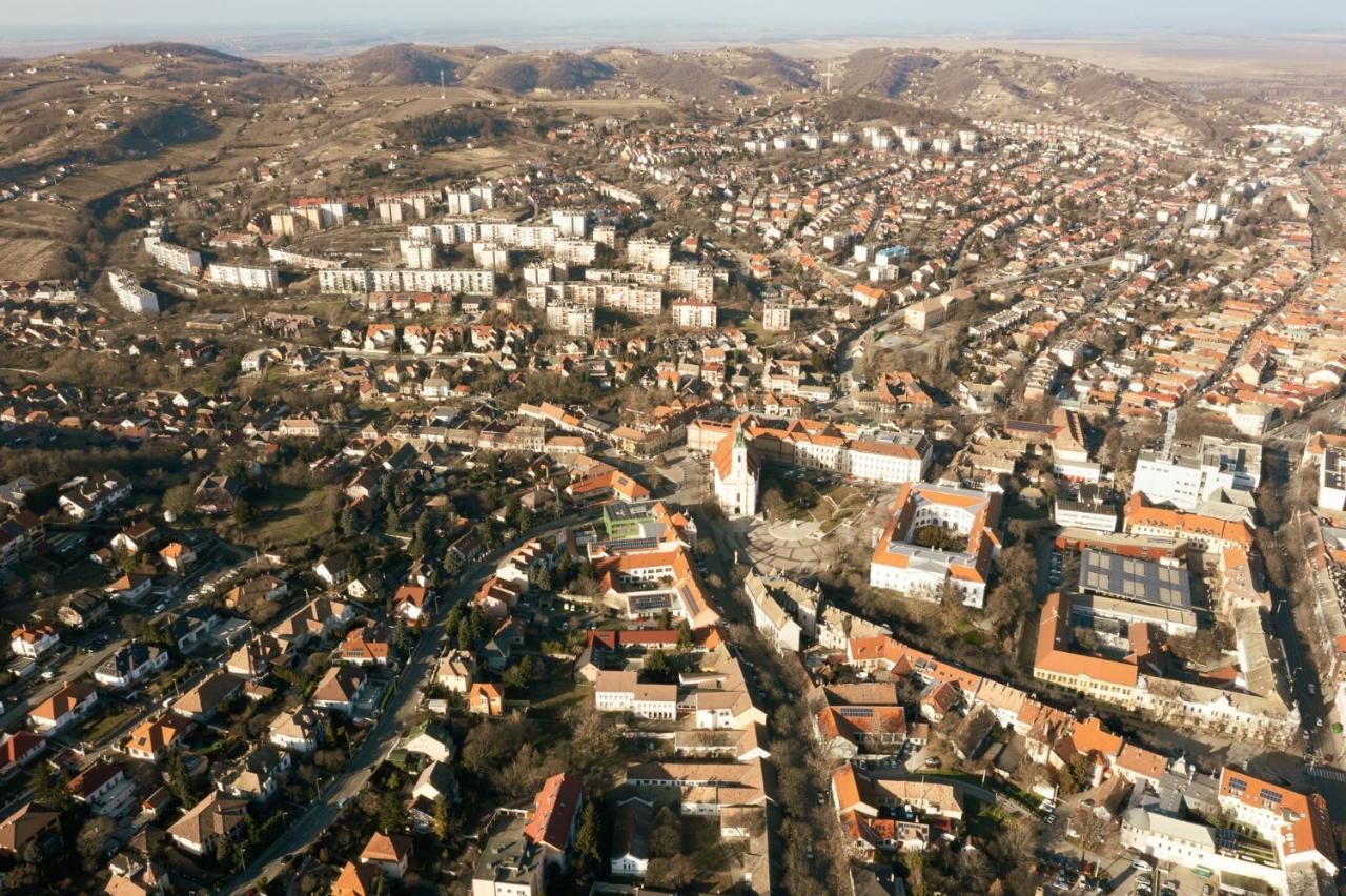 Munkacsy Villa - Szekszárd المظهر الخارجي الصورة